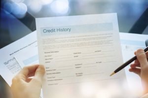 business credit report